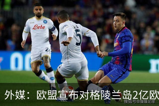 外媒：欧盟宣布对格陵兰岛2亿欧元投资计划