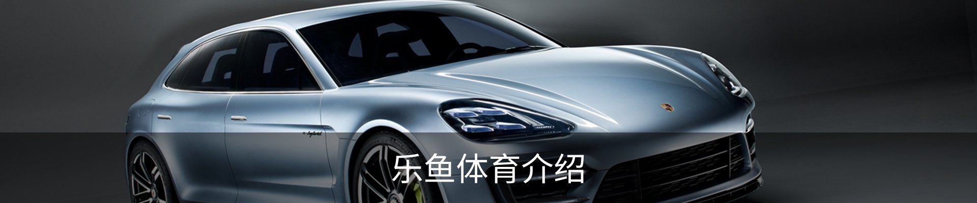 乐鱼体育介绍