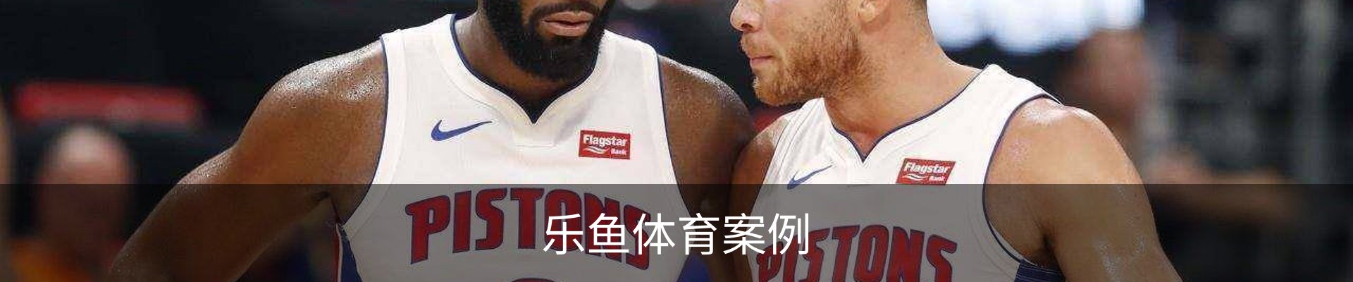 乐鱼体育案例